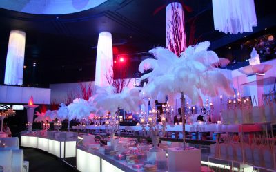 Ice & Fire Party